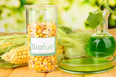 Moss biofuel availability