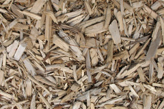 biomass boilers Moss